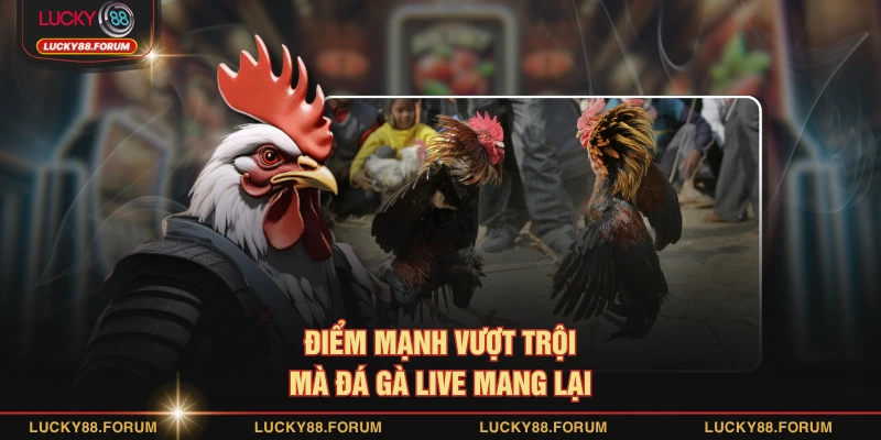 Điểm mạnh vượt trội mà đá gà live mang lại
