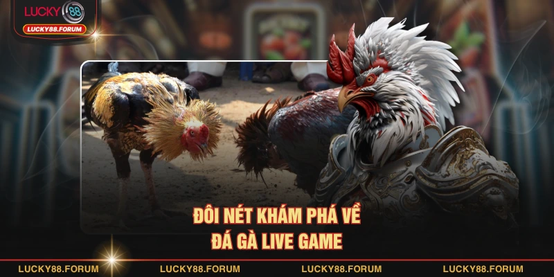 Đôi nét khám phá về đá gà live game