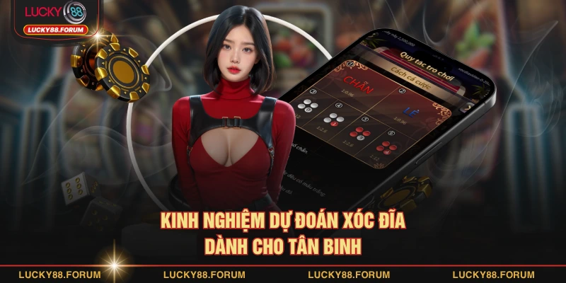 Kinh nghiệm dự đoán xóc đĩa dành cho tân binh