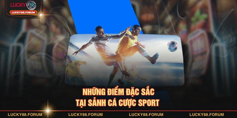 Những điểm đặc sắc tại sảnh cá cược sport 