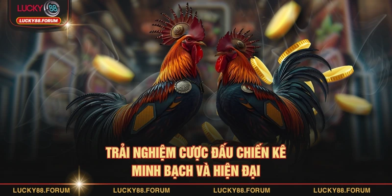 Trải nghiệm cược đấu chiến kê minh bạch và hiện đại